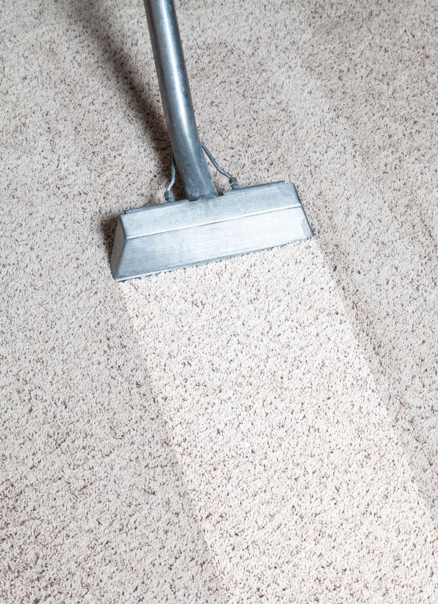 carpet cleaning services